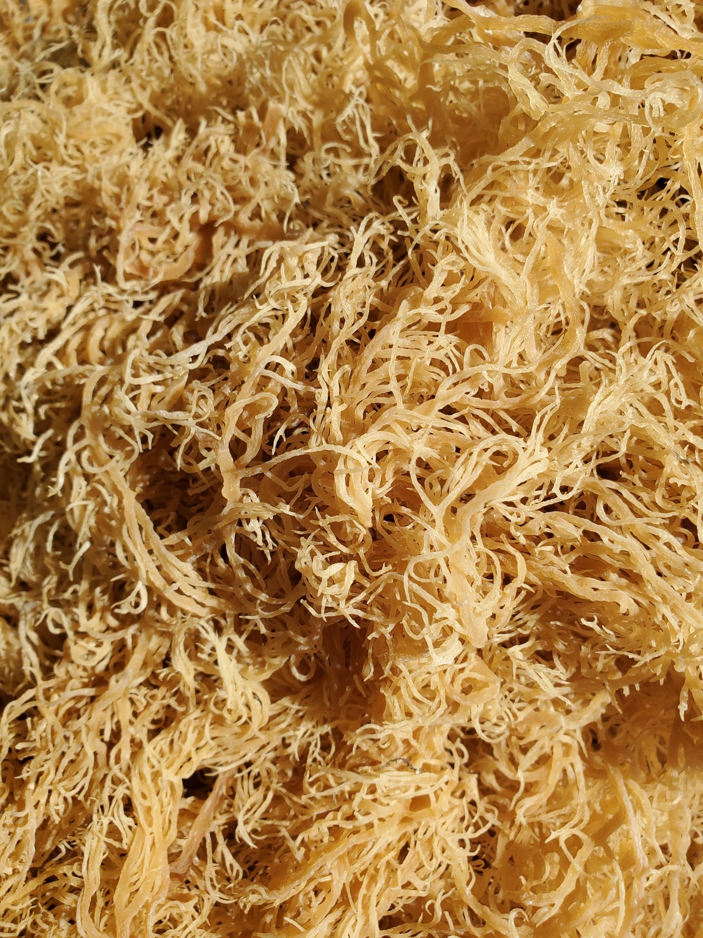 Wholesale Dry Sea Moss