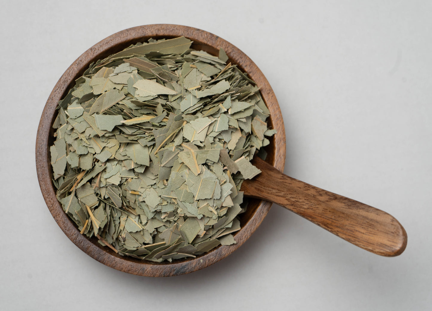 Eucalyptus Leaf