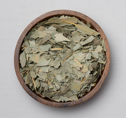 Eucalyptus Leaf