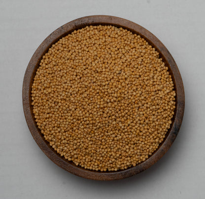 Yellow Mustard Seed